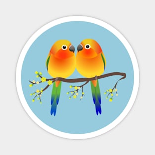 Two cute egg shaped sun parakeets Magnet